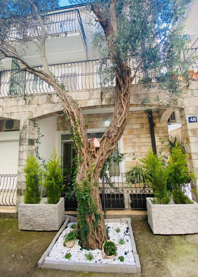 Apartment Oliva1 Petrovac 외부 사진
